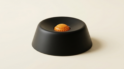 Aurelle Calming Ritual Bowl in black on ivory